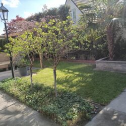 IMG20250418170152