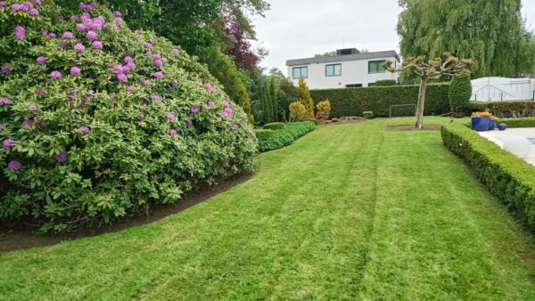 Tuinonderhoud