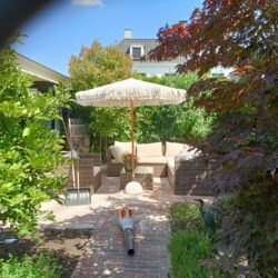 IMG20250701145251 (1)