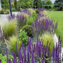 Schermopname_3-2-2026_174442_photos.google.com