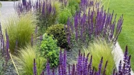 Ecologisch Tuinieren