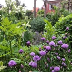 Schermopname_3-2-2026_20222_photos.google.com