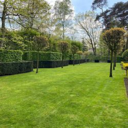 c7fe7b_188ae22cd24846d9bdadc95510eb5b91~mv2 (1)