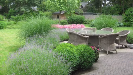 Tuinonderhoud