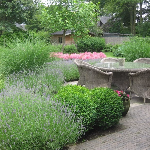 Tuinonderhoud